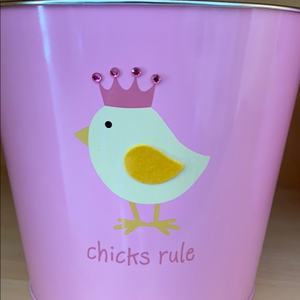 “Chicks Rule” Easter Baskets / Buckets - Picture 3 of 5